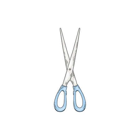 Scissors paper cutting tool, sketch colored vector illustration isolated.のイラスト素材