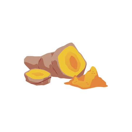 Turmeric root and orange curcuma powder vector illustration for package design. Turmeric sliced and cut root.のイラスト素材