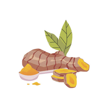 Turmeric or curcuma root and powder hand drawn vector illustration isolated.のイラスト素材
