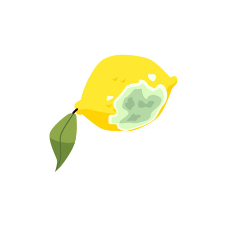 Old lemon with mold on it. Fungus damaged old citrus fruit, food waste cartoon vector icon. Lemon decay illustration.のイラスト素材