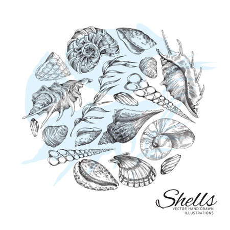 Sea shells and seaweed in circle, monochrome hand drawn sketch style - vector illustration on white background.のイラスト素材