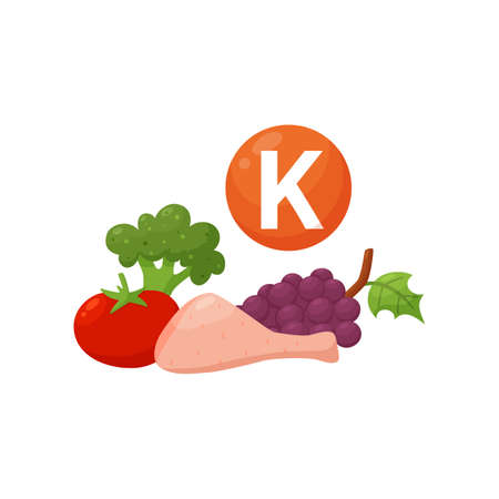 Vitamin K food natural sources flat vector illustration isolated on white.のイラスト素材