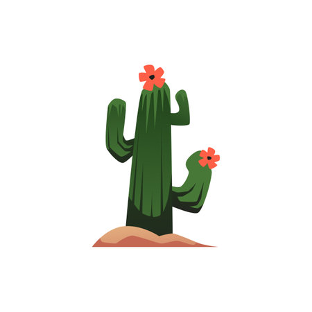 Cactus with blooming flowers in the desert, flat vector illustration isolated on white background.のイラスト素材