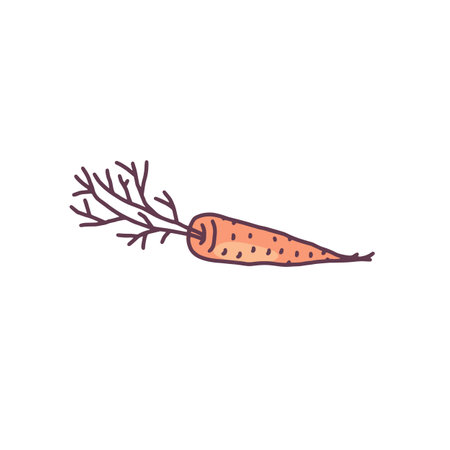 Carrot root vegetable hand drawn icon doodle style vector illustration isolated.のイラスト素材