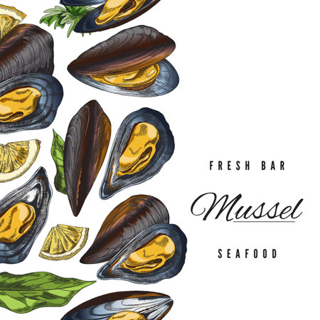 Square banner or poster, restaurant menu cover with mussels vector illustration.のイラスト素材