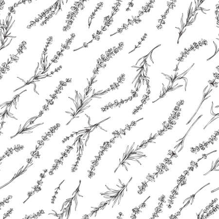 Seamless pattern design with Lavender flowers engraving vector illustration.のイラスト素材