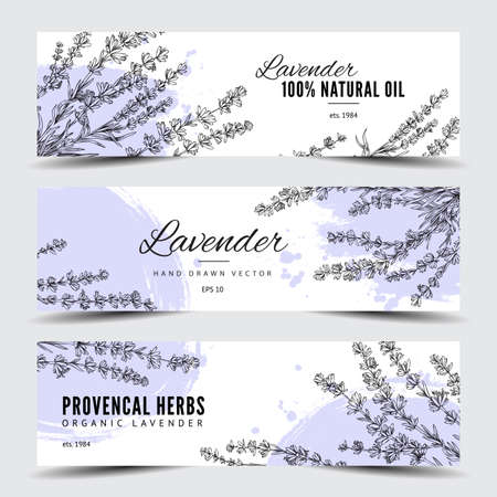 Lavender hand drawn banners or flyers set, engraving vector illustration.のイラスト素材