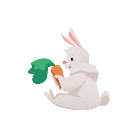 Cute rabbit character sitting and holding carrot in paws flat styleのイラスト素材