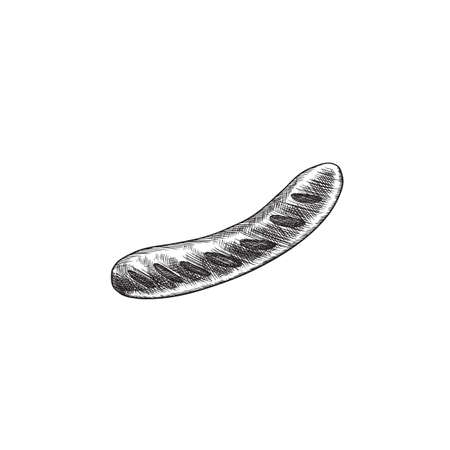Hand drawn barbecue sausage, monochrome, vector illustrationのイラスト素材