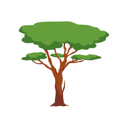 Tree with green dense crown and branches, flat vector illustration isolated.のイラスト素材
