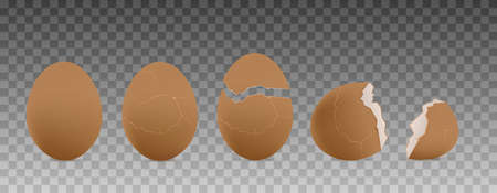 Cracked farm chicken egg in 3d vector illustration, hatching chick stagesのイラスト素材