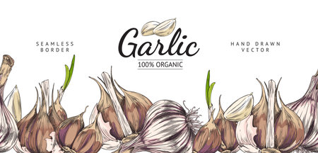 Seamless border with hand drawn colorful garlic sketch styleのイラスト素材