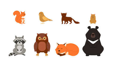 Forest animals, a set of illustrations on a white background, vector flat.のイラスト素材