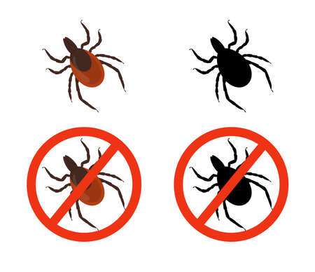 Encephalitis tick insects and symbols stop ticks, vector illustration isolated.