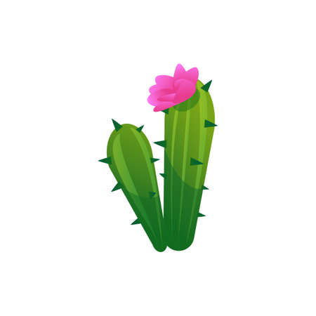 Cartoon succulent cactus with blooming flower, flat vector illustration isolated on white backgroundのイラスト素材
