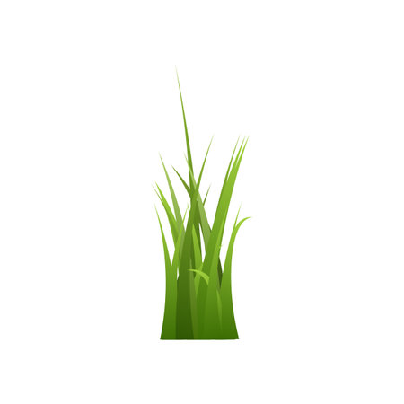Bunch of green grass of different lengths flat style, vector illustrationのイラスト素材