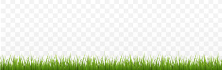 Seamless realistic green grass border, vector illustrationのイラスト素材