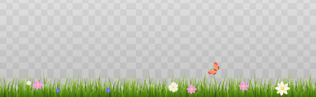 Green grass border with orange butterfly and colorful flowers flat styleのイラスト素材