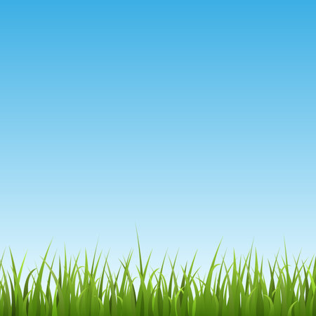 Summer landscape card or banner backdrop mockup, realistic vector illustration.のイラスト素材