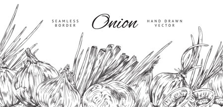 Hand drawn onion seamless border, black and white sketch vector illustration on white background.のイラスト素材