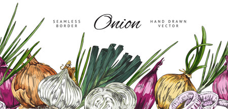 Seamless border with hand drawn colorful different types of onion sketch styleのイラスト素材