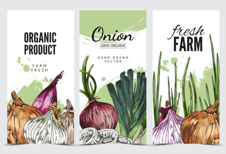 Set of flyers with hand drawn onions sketch style, vector illustrationのイラスト素材