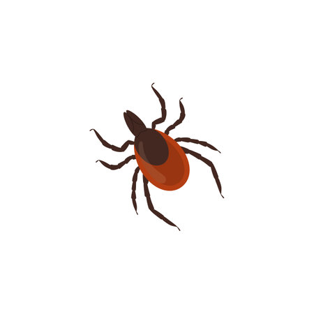 Tick encephalitis parasite insect icon or symbol vector illustration isolated.のイラスト素材