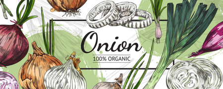 Onion veggie banner or label for packaging template sketch vector illustration.のイラスト素材
