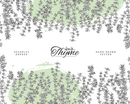 Seamless border with hand drawn monochrome thyme and abstract green shapes sketch styleのイラスト素材