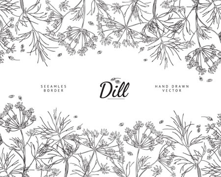 Hand drawn dill herb seamless border, monochrome sketch vector illustration on white background.のイラスト素材