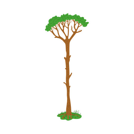Tall dinosaur age tree flat style, vector illustrationのイラスト素材