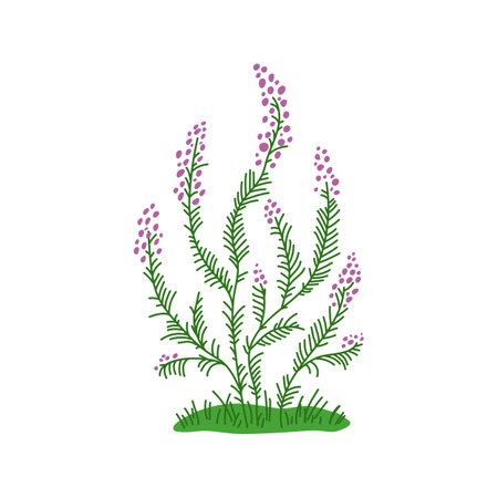 Prehistoric plant of Jurassic and Mesozoic era flat vector illustration isolated.のイラスト素材