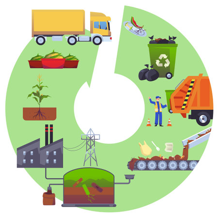 Infographic with stages of organic waste processing flat styleのイラスト素材