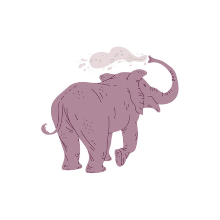 African elephant watering himself with water from his trunk, vector isolated.のイラスト素材