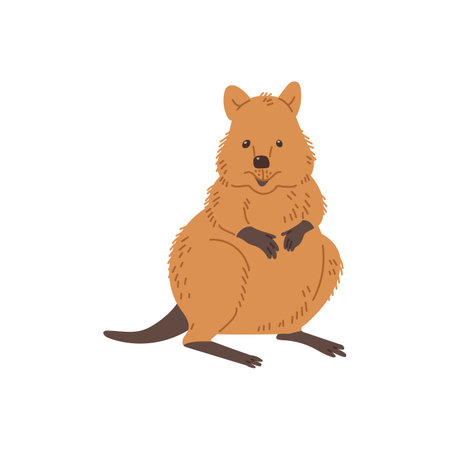 Funny quokka animal, cartoon flat vector illustration isolated on white background.のイラスト素材