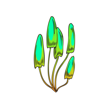 Hallucinogens amanita mushroom or toxic trippy toadstools, vector isolated.のイラスト素材