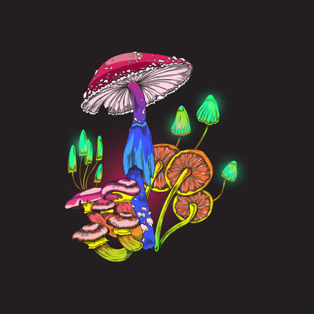 Psychedelic toadstools and fly agaric mushrooms vector illustration isolated.のイラスト素材