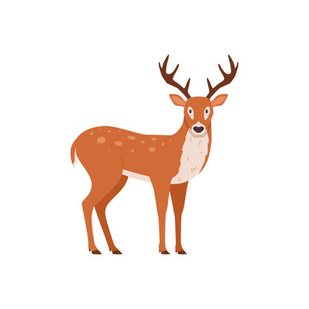 Forest deer or reindeer wild animal flat vector illustration isolated on white.のイラスト素材