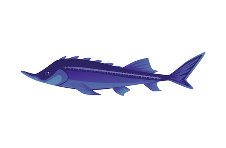 Sturgeon or sterlet fish for fishing and caviar label, flat vector isolated.のイラスト素材