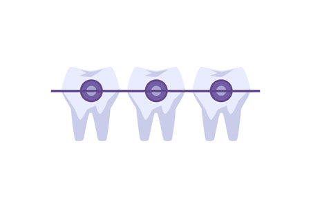 Teeth with metal braces flat style, vector illustrationのイラスト素材
