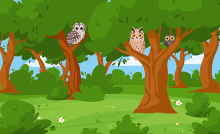 Summer forest with owls sitting on tree branches, cartoon vector illustration.のイラスト素材
