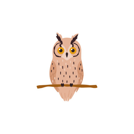Long-eared owl or screech-owl on branch, flat vector illustration isolated.のイラスト素材