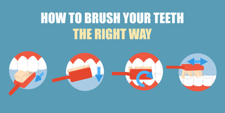 Toothbrushing right technique, stomatological banner - flat vector illustration.のイラスト素材
