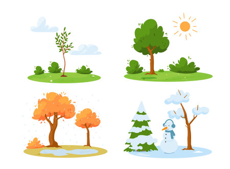 Landscape scenery with trees in four seasons vector illustrations collection.のイラスト素材