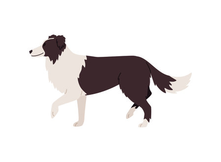 St Bernard lifesaver service dog breed flat cartoon vector illustration isolated.のイラスト素材