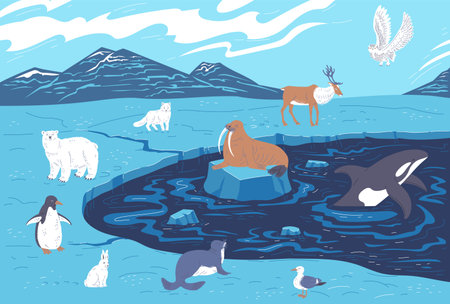 Various arctic animals on glaciers, cartoon flat vector illustration.のイラスト素材