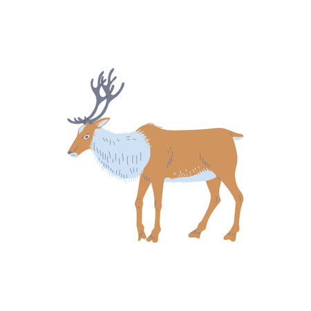 Standing reindeer arctic animal side view flat styleのイラスト素材