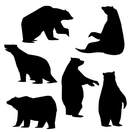 Set of black silhouettes of polar bears in different poses flat styleのイラスト素材