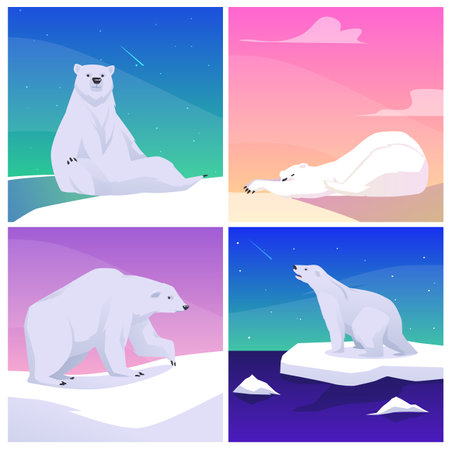 Set of scenes with polar bears in different poses flat styleのイラスト素材