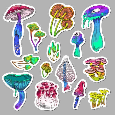Set of colorful psychedelic mushrooms, hand drawn sketch vector illustration isolated on gray background.のイラスト素材